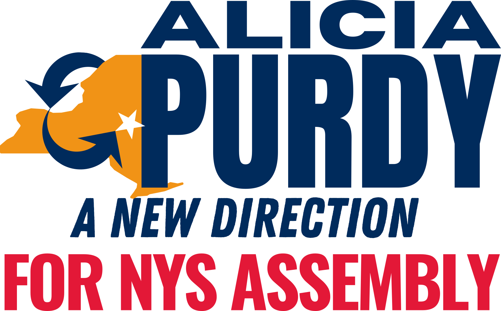 NYS Assembly The Issues nys-assembly-the-issues