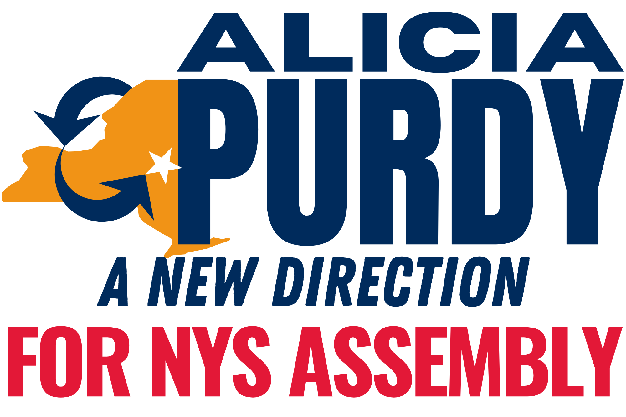 Alicia Purdy for New York State Assembly "A New Direction"